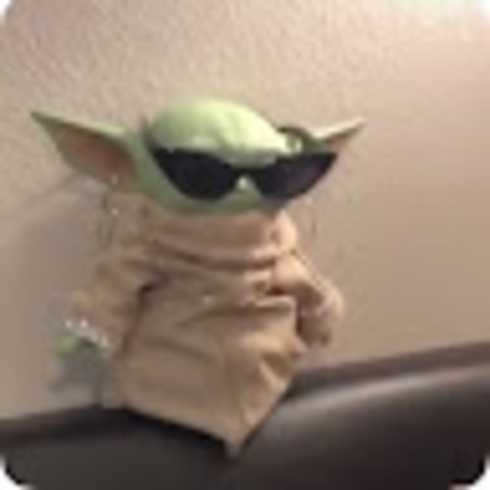 Meet your Posher, Camryn